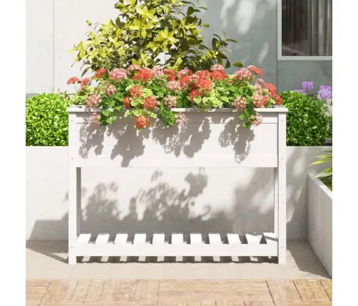 Puķu Kaste Ar Plauktu, Balta, 111,5X34,5X81 Cm, Priedes Koks Vidaxl