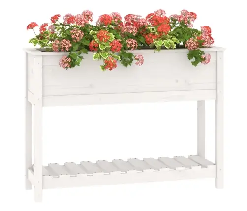 Puķu Kaste Ar Plauktu, Balta, 111,5X34,5X81 Cm, Priedes Koks Vidaxl
