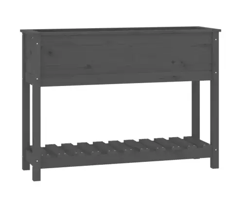 Puķu Kaste Ar Plauktu, Pelēka, 111,5X34,5X81, Priedes Masīvkoks Vidaxl