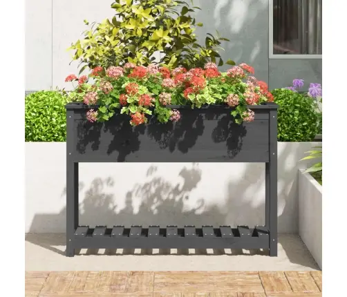 Puķu Kaste Ar Plauktu, Pelēka, 111,5X34,5X81, Priedes Masīvkoks Vidaxl