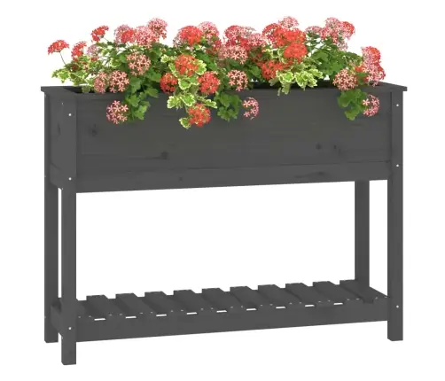 Puķu Kaste Ar Plauktu, Pelēka, 111,5X34,5X81, Priedes Masīvkoks Vidaxl