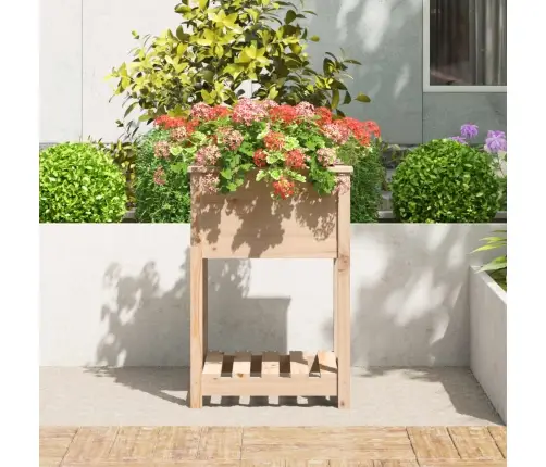 Puķu Kaste Ar Plauktu, 54X54X81 Cm, Priedes Masīvkoks Vidaxl