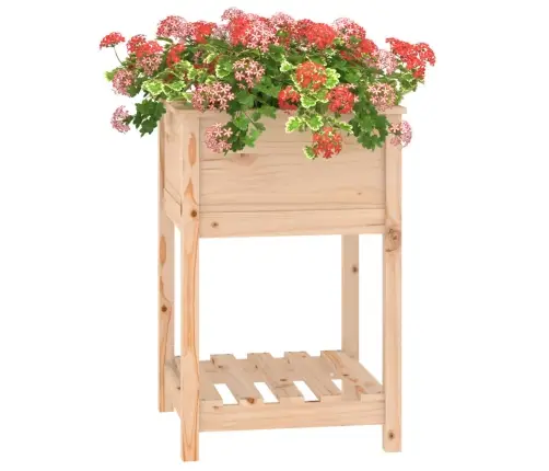 Puķu Kaste Ar Plauktu, 54X54X81 Cm, Priedes Masīvkoks Vidaxl