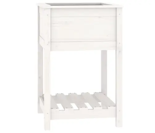 Puķu Kaste Ar Plauktu, Balta, 54X54X81 Cm, Priedes Masīvkoks Vidaxl