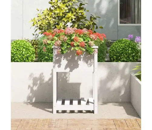 Puķu Kaste Ar Plauktu, Balta, 54X54X81 Cm, Priedes Masīvkoks Vidaxl