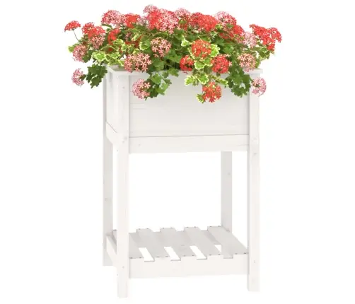 Puķu Kaste Ar Plauktu, Balta, 54X54X81 Cm, Priedes Masīvkoks Vidaxl