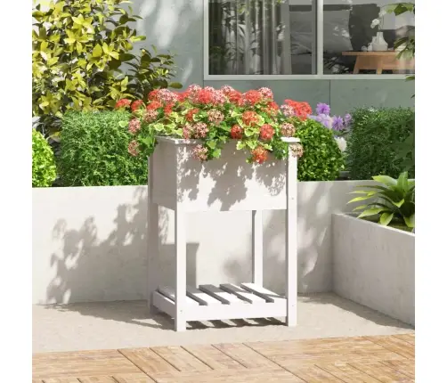 Puķu Kaste Ar Plauktu, Balta, 54X54X81 Cm, Priedes Masīvkoks Vidaxl