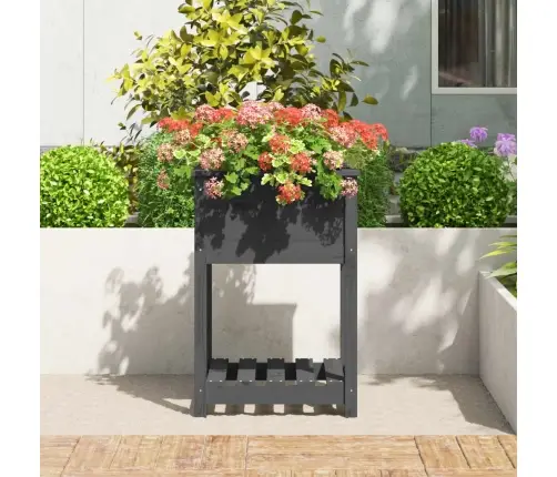 Puķu Kaste Ar Plauktu, Pelēka, 54X54X81 Cm, Priedes Masīvkoks Vidaxl