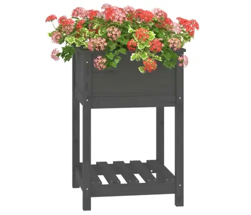 Puķu Kaste Ar Plauktu, Pelēka, 54X54X81 Cm, Priedes Masīvkoks Vidaxl