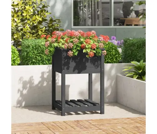 Puķu Kaste Ar Plauktu, Pelēka, 54X54X81 Cm, Priedes Masīvkoks Vidaxl