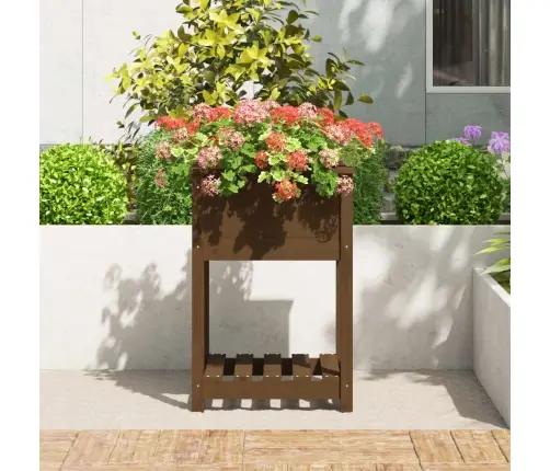 Lovelis Su Lentyna, Medaus Rudas, 54X54X81cm Pušies Masyvas