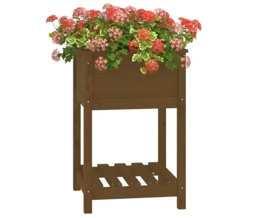 Lovelis Su Lentyna, Medaus Rudas, 54X54X81cm Pušies Masyvas