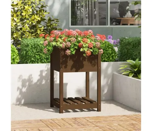 Lovelis Su Lentyna, Medaus Rudas, 54X54X81cm Pušies Masyvas