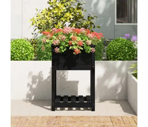 Puķu Kaste Ar Plauktu, Melna, 54X54X81 Cm, Priedes Masīvkoks Vidaxl