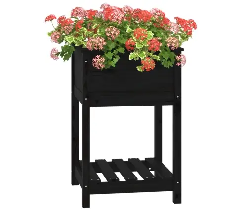 Puķu Kaste Ar Plauktu, Melna, 54X54X81 Cm, Priedes Masīvkoks Vidaxl