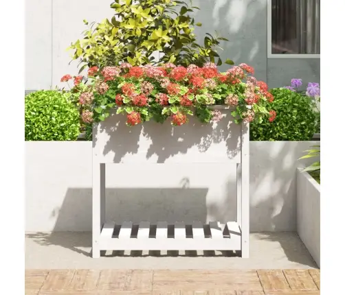 Puķu Kaste Ar Plauktu, Balta, 82,5X54X81 Cm, Priedes Masīvkoks Vidaxl