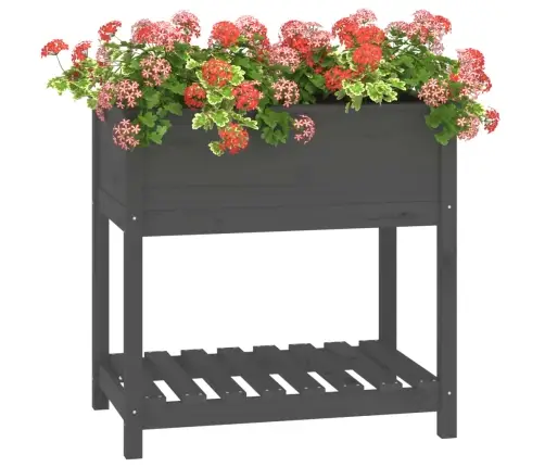 Puķu Kaste Ar Plauktu, Pelēka, 82,5X54X81 Cm, Priedes Masīvkoks Vidaxl