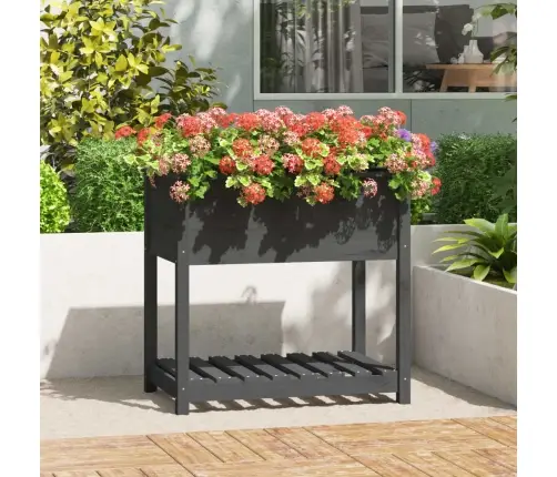 Puķu Kaste Ar Plauktu, Pelēka, 82,5X54X81 Cm, Priedes Masīvkoks Vidaxl