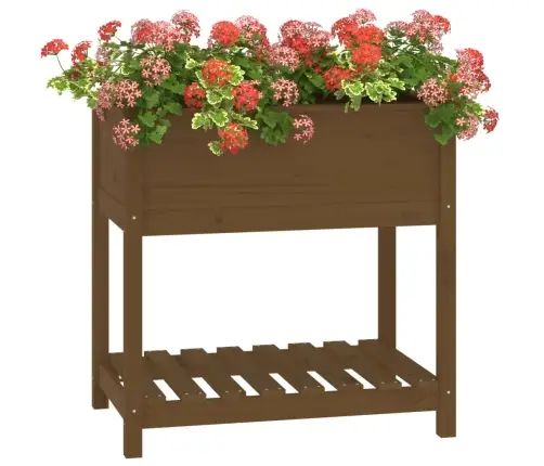 Puķu Kaste Ar Plauktu, Medus Brūna, 82,5X54X81 Cm, Priedes Koks Vidaxl