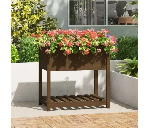 Puķu Kaste Ar Plauktu, Medus Brūna, 82,5X54X81 Cm, Priedes Koks Vidaxl