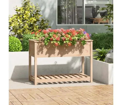 Puķu Kaste Ar Plauktu, Pelēka, 111,5X54X81Cm, Priedes Masīvkoks Vidaxl