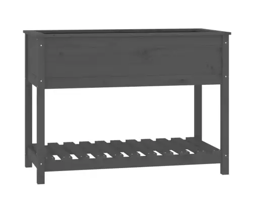 Puķu Kaste Ar Plauktu, Pelēka, 111,5X54X81Cm, Priedes Masīvkoks Vidaxl