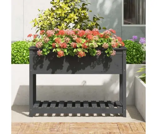 Puķu Kaste Ar Plauktu, Pelēka, 111,5X54X81Cm, Priedes Masīvkoks Vidaxl