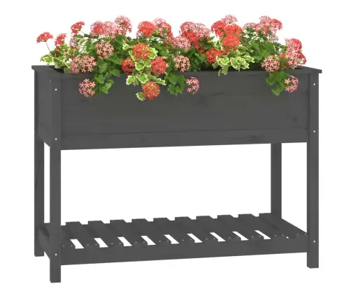 Puķu Kaste Ar Plauktu, Pelēka, 111,5X54X81Cm, Priedes Masīvkoks Vidaxl