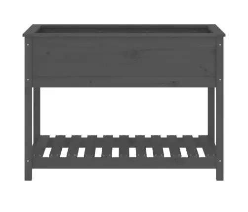 Puķu Kaste Ar Plauktu, Pelēka, 111,5X54X81Cm, Priedes Masīvkoks Vidaxl