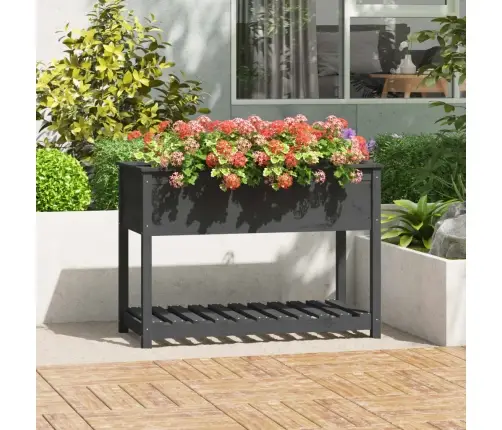 Puķu Kaste Ar Plauktu, Pelēka, 111,5X54X81Cm, Priedes Masīvkoks Vidaxl