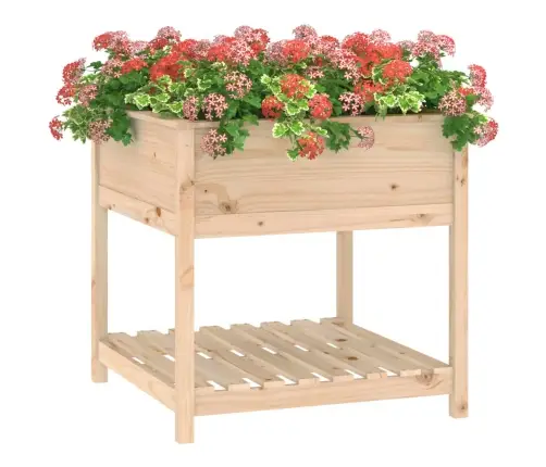 Riiuliga Taimekast, Hall, 82,5X82,5X81 cm Männipuit