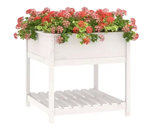 Puķu Kaste Ar Plauktu, Balta, 82,5X82,5X81Cm, Priedes Masīvkoks Vidaxl