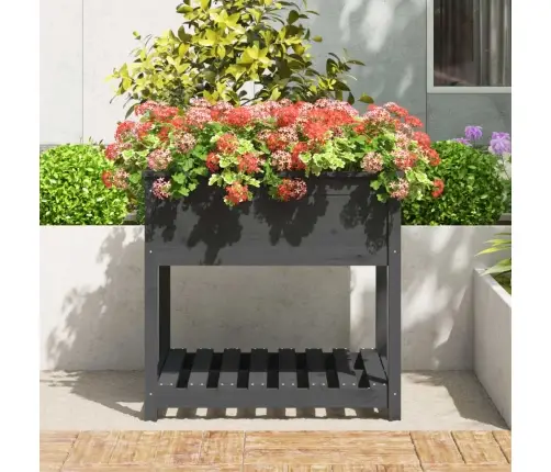 Riiuliga Taimekast, Hall, 82,5X82,5X81 cm Männipuit