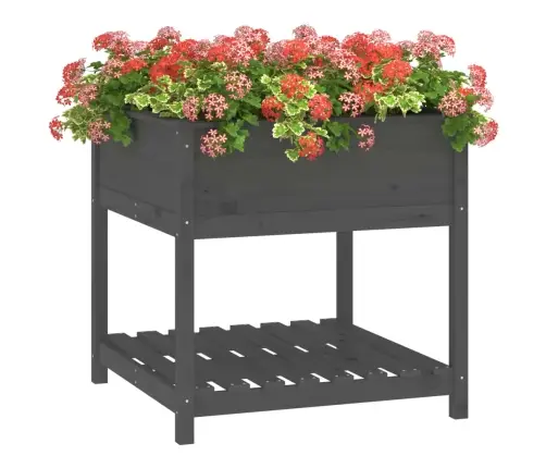 Riiuliga Taimekast, Hall, 82,5X82,5X81 cm Männipuit