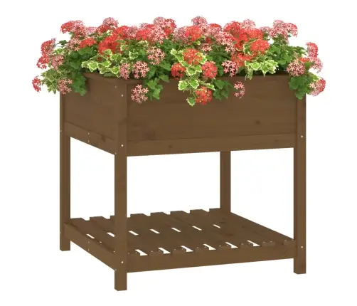 Puķu Kaste Ar Plauktu, Medus Brūna, 82,5X82,5X81, Priedes Koks Vidaxl