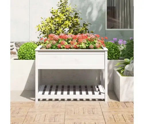 Puķu Kaste Ar Plauktu, Balta, 111,5X111,5X81 Cm, Priedes Koks Vidaxl