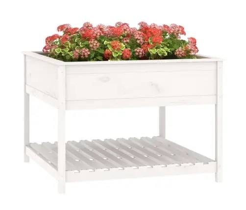 Puķu Kaste Ar Plauktu, Balta, 111,5X111,5X81 Cm, Priedes Koks Vidaxl