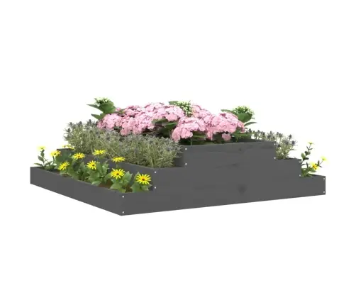 Taimekast, Hall, 110 X 110 X 27 cm Männipuit