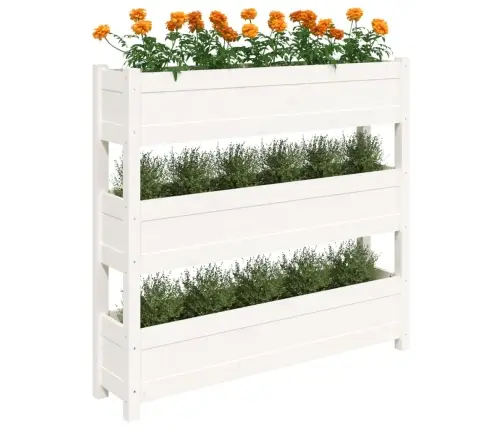 Taimekast, Valge, 112 X 25 X 104,5 cm Männipuit