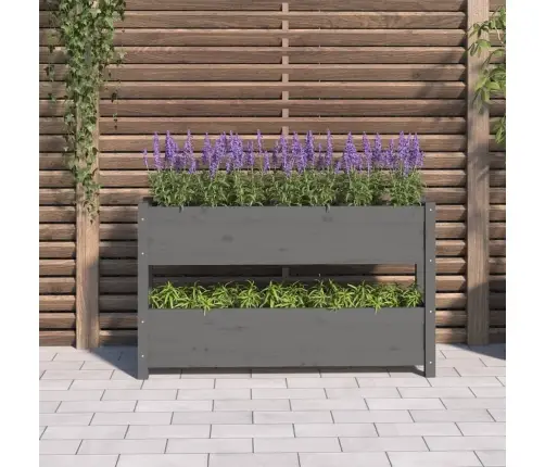 Puķu Kaste, Pelēka, 112X25X66 Cm, Priedes Masīvkoks Vidaxl