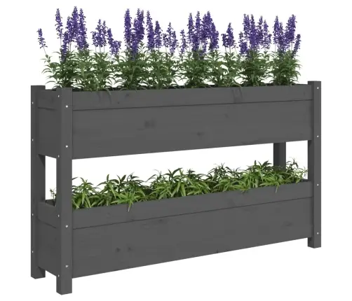 Puķu Kaste, Pelēka, 112X25X66 Cm, Priedes Masīvkoks Vidaxl