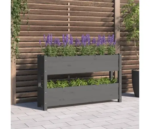 Puķu Kaste, Pelēka, 112X25X66 Cm, Priedes Masīvkoks Vidaxl