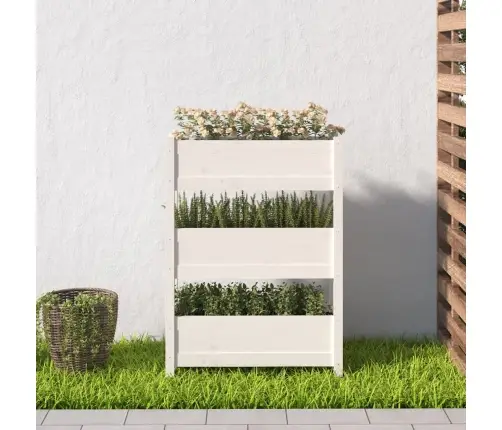 Taimekast, Valge, 77 X 25 X 104,5 cm Männipuit