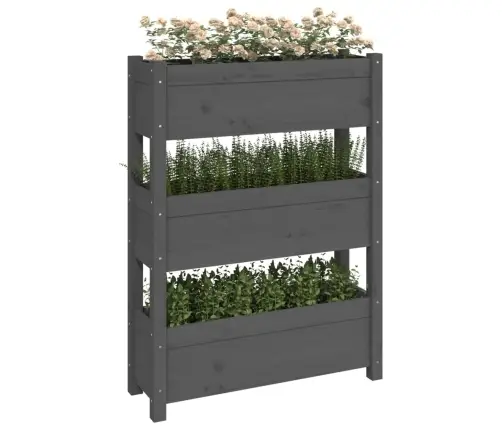 Puķu Kaste, Pelēka, 77X25X104,5 Cm, Priedes Masīvkoks Vidaxl