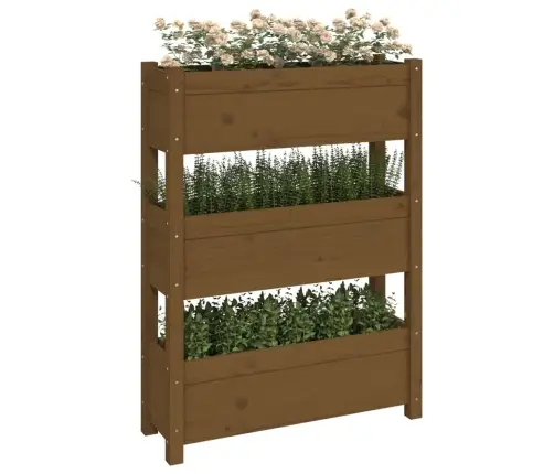 Lovelis, Medaus Rudas, 77X25X104,5cm Pušies Medienos Masyvas