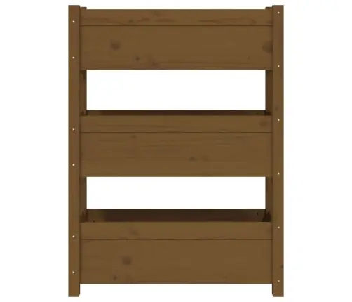 Lovelis, Medaus Rudas, 77X25X104,5cm Pušies Medienos Masyvas