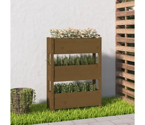 Lovelis, Medaus Rudas, 77X25X104,5cm Pušies Medienos Masyvas