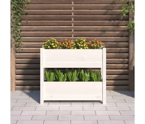 Taimekast, Valge, 77 X 25 X 66 cm Männipuit