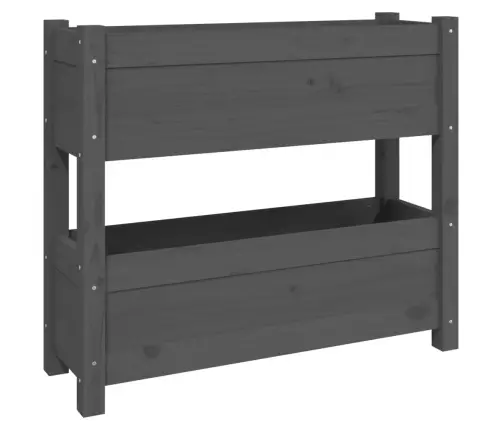 Puķu Kaste, Pelēka, 77X25X66 Cm, Priedes Masīvkoks Vidaxl