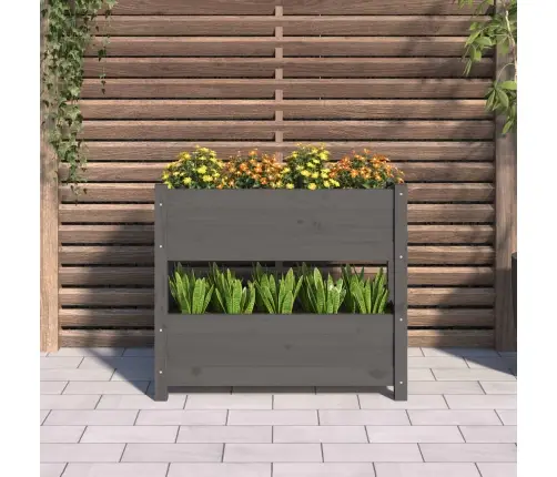 Puķu Kaste, Pelēka, 77X25X66 Cm, Priedes Masīvkoks Vidaxl